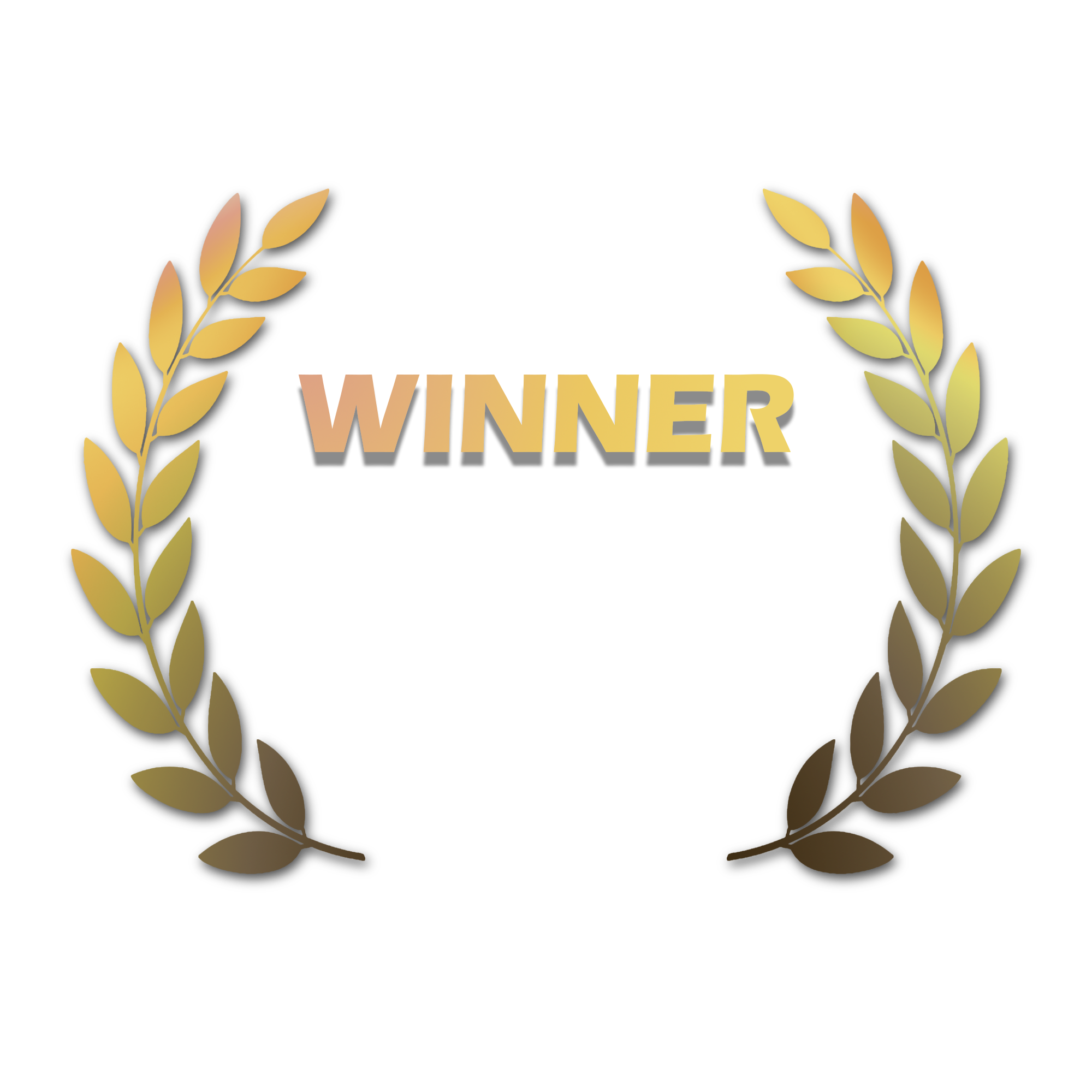 FICCI Award - Winner Best PC/Console Game Of The Year 2025